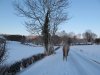 Winterspaziergang Bariq - eingesendet von G.Wiertz