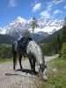 Ein Marokkaner in Österreich - eingesendet von Besitzerin Susanne Kellner