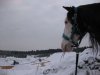 Phadi d'al Bassatine, Besitzer und Einsender Anne Erbrich, Winter 2011 - Erkundungstour zum Kieswerk an einem frostigen Tag