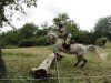 TREC Steckenroth, Araber-Berberstute Monce d'Arbre Mort, Einsender Ulrike Schäfer