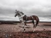 Elbaida (DZ) -  la photographie est un art - B.Ahmed Taleb/Algerien