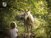 Für den unwahrscheinlichen Fall, ein Einhorn zu treffen ... Hiemsal D'Ivoire, Élevage D'Ivoire (BE)