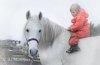 Igadir und Pony-Girl, Gestüt Al Mansour, Einsender David Schuller