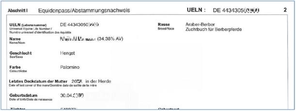 Zuchtbescheinigung Araber-Berber